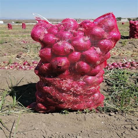 50lb 10kg 5kg Plastic Pp Red Onion Packing Bags Nets 50kg 20 Kg For