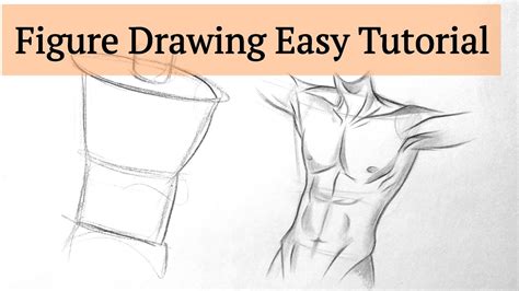 Anatomy Sketch Male Chest Drawing Human Figure Drawing Lessons Easy