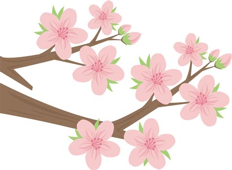 Cherry Blossom Tree Branch Clip Art