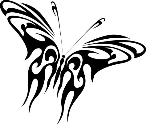 Drawing Of A Black Butterfly Free Stock Photo Public Domain Pictures