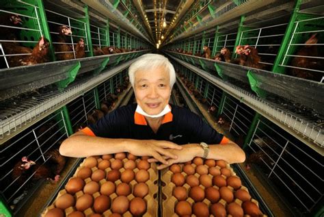 Suasana semasa 'supply chain' td poultry halatuju perniagaan 5. Bursa Dummy: Poultry Farming & Listed Companies In Malaysia