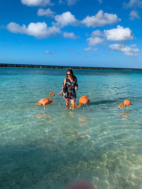 Everything You Need To Know About Visiting Flamingo Beach Aruba — The