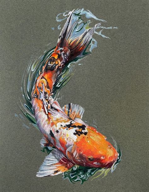 How To Draw A Koi Fish With Colored Pencils