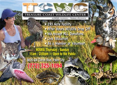 Treasure Coast Wildlife Center My Living Media