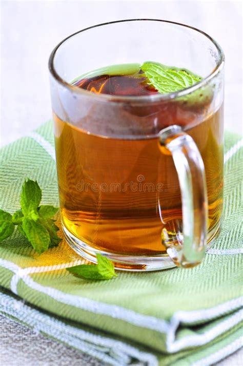 Mint Tea Stock Photo Image Of Fresh Plants Clear Refreshment 6669820