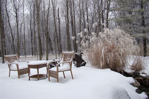 Winter Wonderland Backyard Outdoor Winter Wonderland