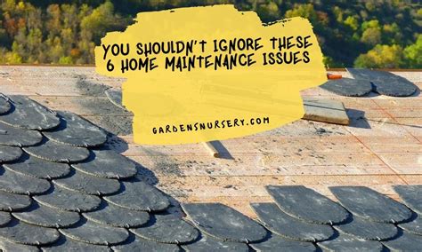 You Shouldnt Ignore These 6 Home Maintenance Issues Gardens Nursery