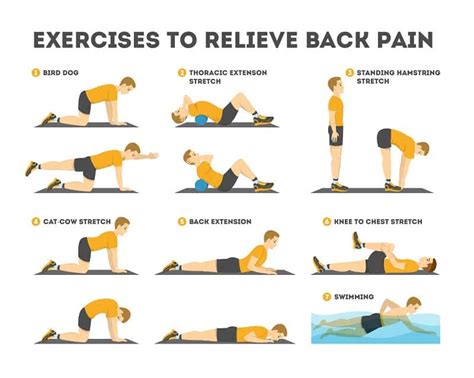 Best Stretches For Lower Back Pain Terry Cralle