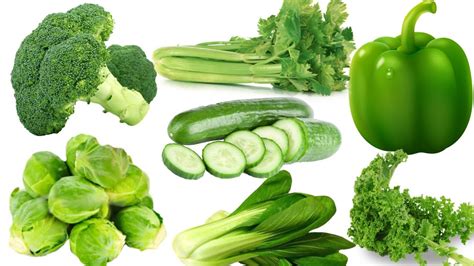 We did not find results for: Green colour vegetables Name | Learning green vegetables ...