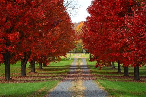 The Long Road Home Loudoun County Virginia Bernard Chen Photography