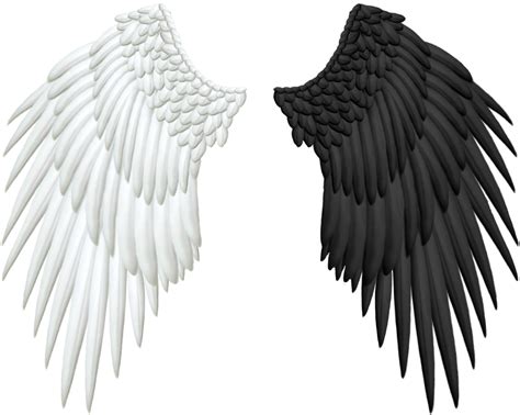 Angel Wing Clip Art Wings Png Png Download 998796 Free