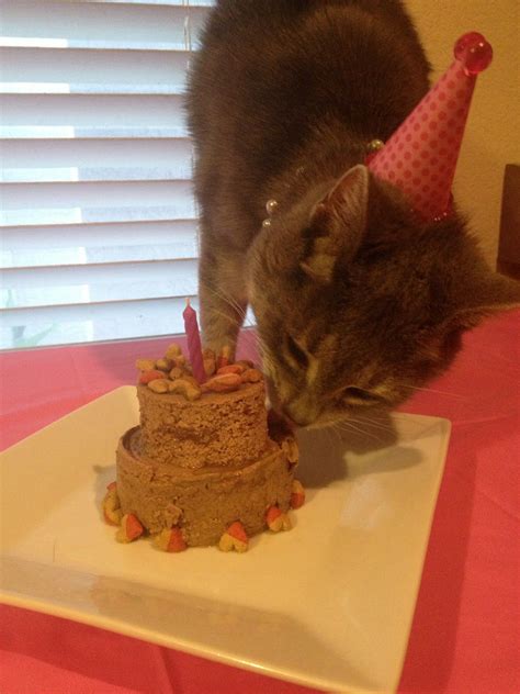 Kitty Party Cat Birthday Party Animal Birthday Cake Birthday