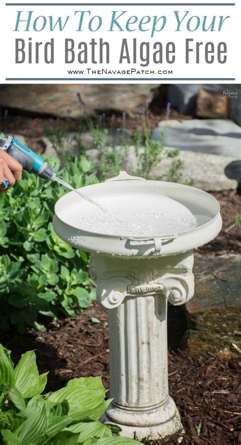 You can apply a coat of sealer and paint then, glue the saucer to the top of the stack, and let it dry for 24 hours. DIY Bird Bath | Diy bird bath, Bird bath fountain, Diy fountain