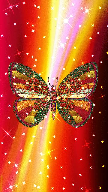Butterfly  Download And Share On Phoneky