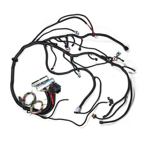 Ls Standalone Wiring Harness Diagram Fred Lane