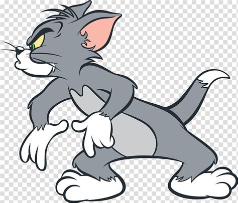 Tom The Cat Illustration Jerry Mouse Tom Cat Tom And Jerry Cartoon