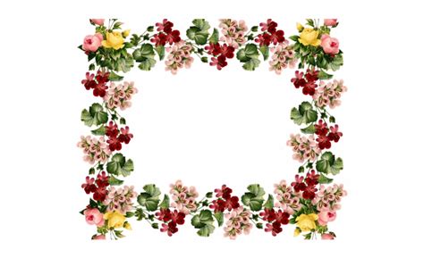 Borders Clipart Flower And Other Clipart Images On Cliparts Pub