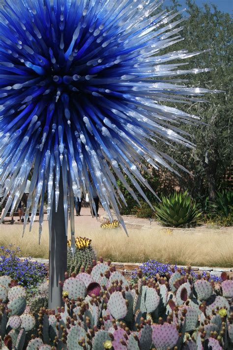 Chihuly Glass In The Garden At Phoenix Desert Botanical Gardens Desert Botanical Garden