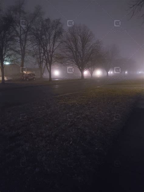 Foggy Night In The Suburbs