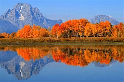 Grand Tetons In Fall Fall Colors In Grand Teton Oxbow Bend