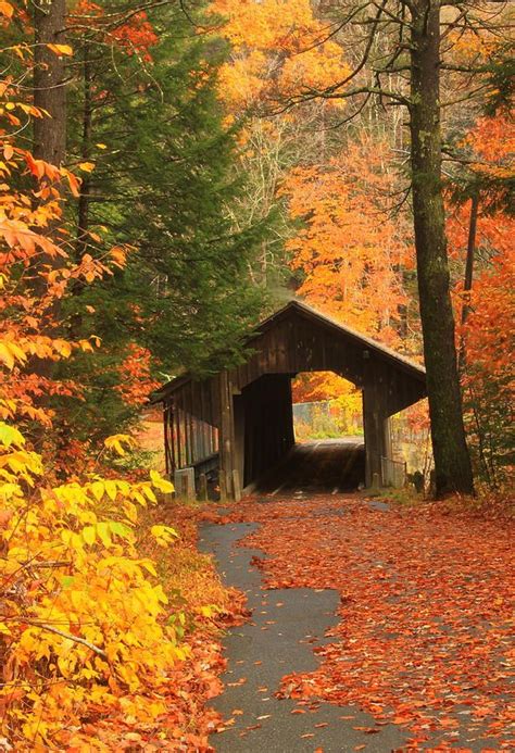 Covered Bridge Autumn Scenery Autumn Scenes Scenery
