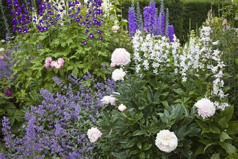 How To Plan And Grow A Cutting Garden