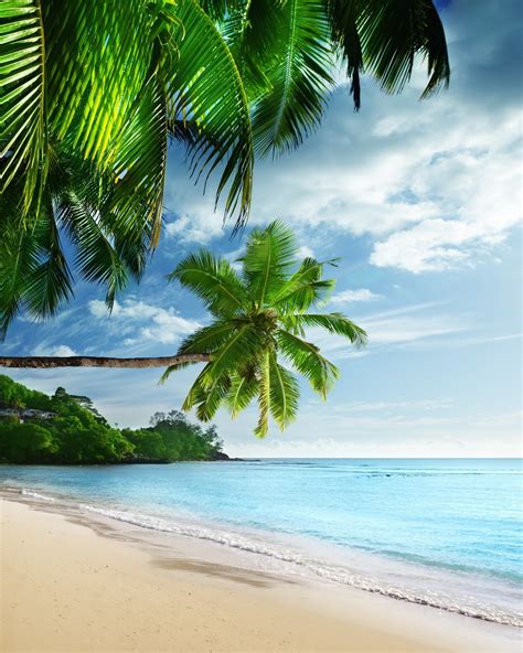 Download Tropical Paradise Beach Hd Wallpaper For Nexus 7