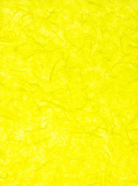 Lemon Skin — Stock Photo © Clivia 1634987