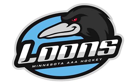 Loons Hockey Mason City Sweeps Loons Pine And Lakes Echo Journal