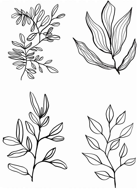 Leaves And Stems Pdf Download — Leaca Young Art