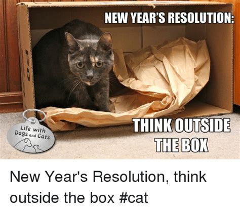 Life With Dogs And Cats New Years Resolution Think Outside The Box New Years Resolution Think