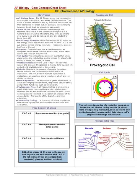 Introduction To Ap Biology Cheat Sheet