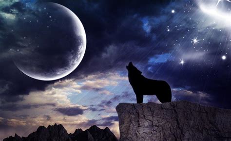 Custom blue moon wolf leather mask. Wolf Moon Live Wallpaper for Android - APK Download
