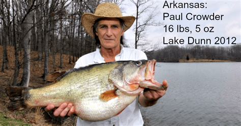 Largemouth Bass Records For All 50 States To Give You Inspiration This