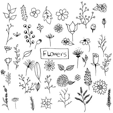 Hand Drawn Flower Vector Hd Images Hand Drawn Flowers Pack Hand Drawn