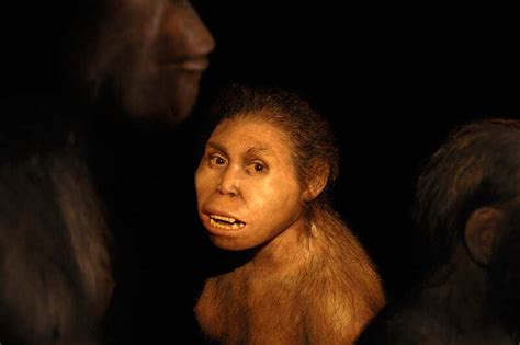 Neanderthals — Blog — The Edge