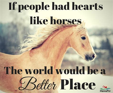 Horse Sayings Horse Quotes Horses Beautiful Horses