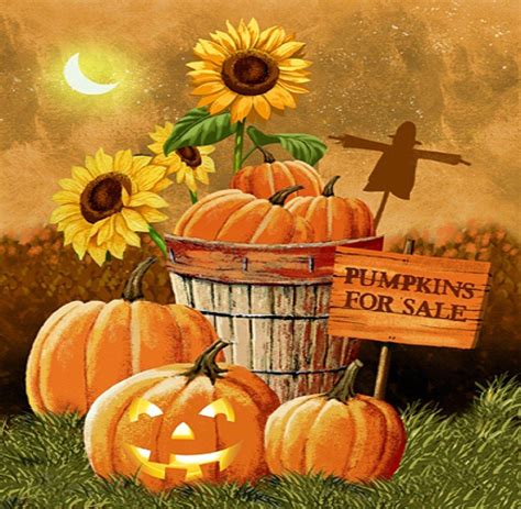 Fall Harvest Pumpkin Sunflower Wallpapers Top Free Fall Harvest