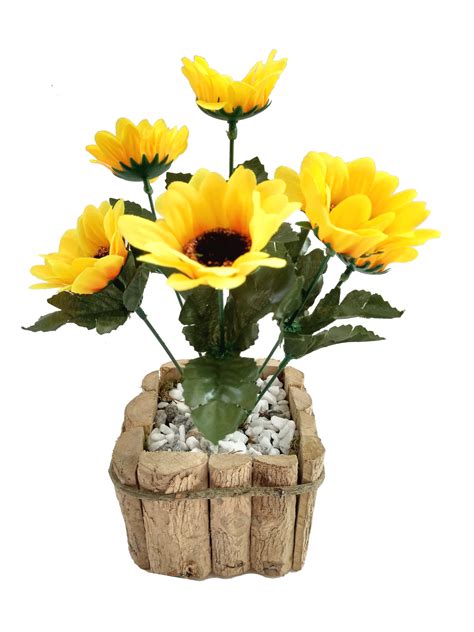 Flor Girassol No Vaso Best Succulent Ideas