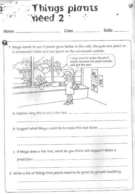 There are two versions of this worksheet. The City School: Grade 3 Science Reinforcement Worksheets