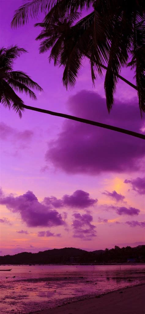 Purple Palm Trees Hd Wallpapers Wallpaper Cave