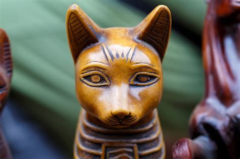 Ancient Egyptians Werent The Only Ones Who Worshipped Cat Gods