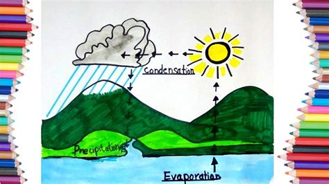 Savesave how to draw the water cycle for later. HOW TO DRAW RAIN CYCLE AND WATER CYCLE ON EARTH FOR KIDS ...