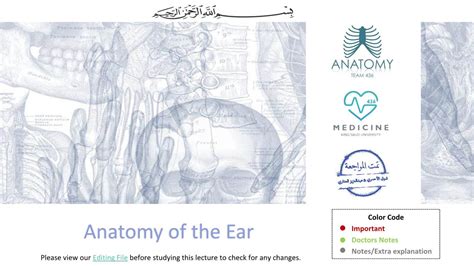 Anatomy Of The Ear Doctors Notes Notesextra Explanation Please View