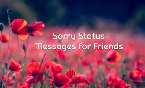 You can tap emoji to add emoji or gifs, t to pick a font, or color to pick a you can also add a caption or make edits to the photo, video, or gif, which you can learn how to do in this article. Sorry Status for Friend - I'm Sorry Messages and Captions ...