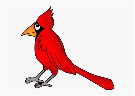 Ohio State Bird Cardinal Clip Art Free Transparent Clipart Clipartkey