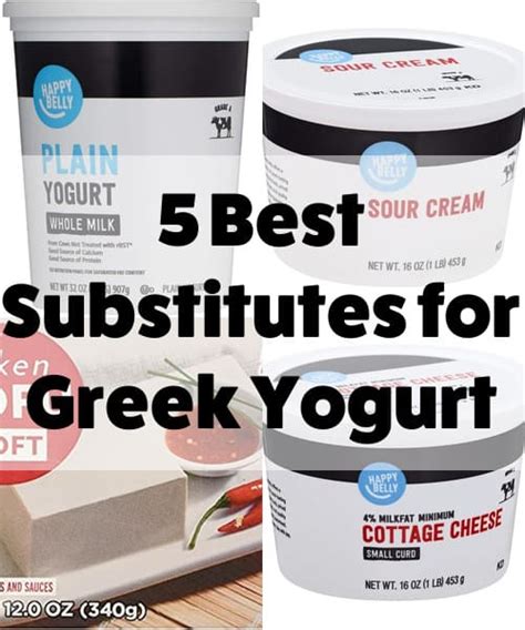 5 Best Substitutes For Greek Yogurt