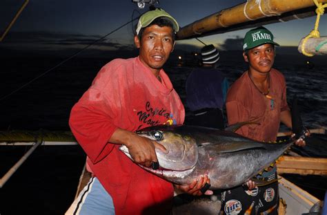 Catching Tuna The Right Way In The Philippines Stories The Coral Triangle