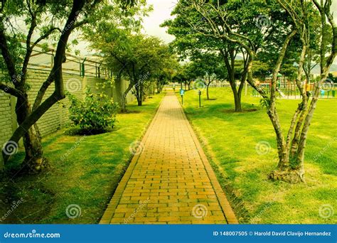 Park Path On A Sunny Day Stock Image Image Of Nature 148007505