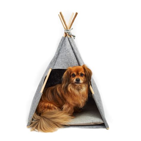 Teepees For Dogs Hot Trend For 2020 Bringing The Outdoors Indoors Made